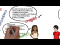 Compreendendo Argumentos e Suas Estruturas