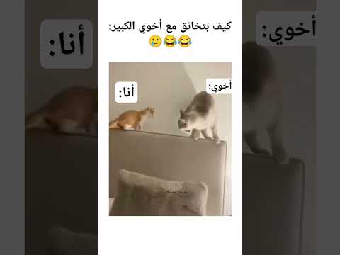 ما في رحمه 😂🤡☠️ #اكسبلور #ضحك #ميمز_ضحك #ميمز #memes #عائلة #الأخوة #viralvideo #fypyoutube