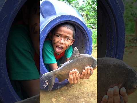 masuk goa dapet ikan besar #hiburan #kreatif