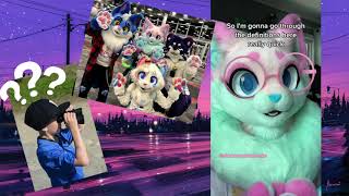 ✨Furries : Part 2✨ [5/21/23 TikTok Archive]