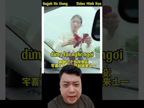 Xử Lý Như Thế Nào Khi Đột Nhiên Bạn Bị Dán Chữ Hỷ Lên Kính Xe | Quỳnh Hà Giang