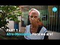 Afro-Mexican History and Identity