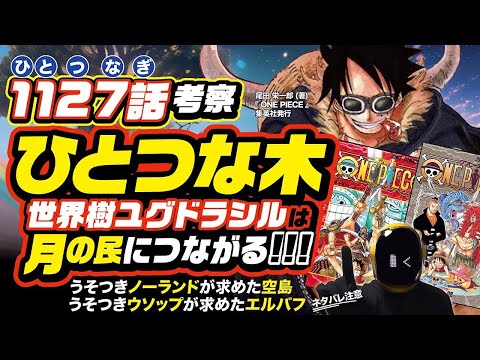 【 ONE PIECE 1127 】世界樹ユグドラシルはビルカや月の民に繋がる!? ワンピース 最新話 ネタバレ 考察 ウソップが求めたエルバフの地と、ノーランドが求めた神の島のひとつな木!!