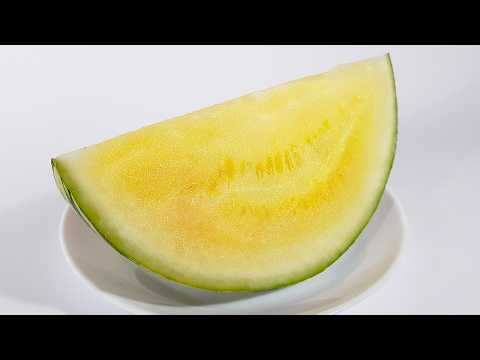 The Last Yellow Watermelon - Time Lapse