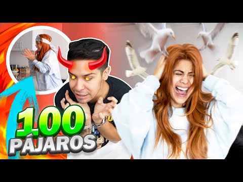 LA ENFRENTE A SU PEOR FOBIA 😱 BROMA A KIM SHANTAL | ALEX FLORES 🏳️‍🌈