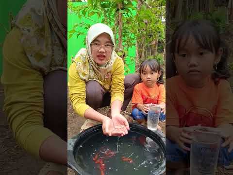 emak berhasil tangkap ikan 🐠 #funny #shorts