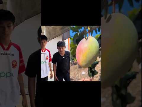 Omped_visual SUBSCRIBE #shorts