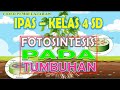 Kuis tentang Fotosintesis