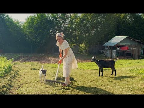 I LIVE OFF THE LAND in a Russian Village with Goats, Chickens and Dogs!