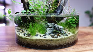 Your Questions Answered (Tabletop Aquagarden 🌿)