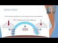 Persistent Organic Pollutants and Their Impact
