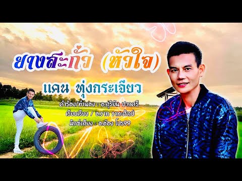 ยางสะกั่ว(หัวใจ) แคน ทุ่งกระเจียว ແຄນ ທຸ່ງກະຈຽວ