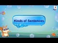 Types of Sentences and Their Functions