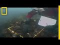 Exploring Marine Biodiversity