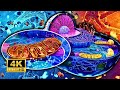 Mitochondrial Functions and Processes