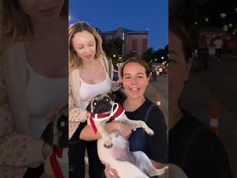 В тг:FAMILY HLEB Фрося забрала собаку у оскара)