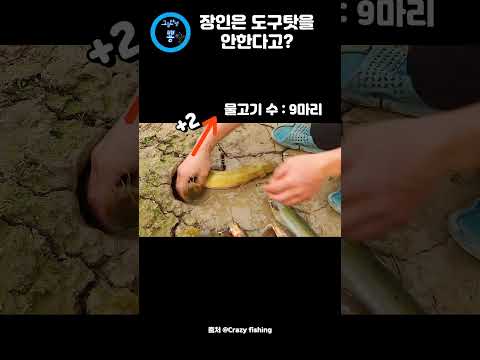 뱀으로 물고기 낚시하는 영상 : 장인은 도구탓을 안하지