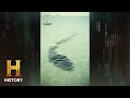Mysteries of the Hook Island Monster