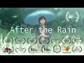 After the Rain: A Reflective Journey