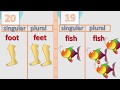 Mastering Irregular Plurals in English