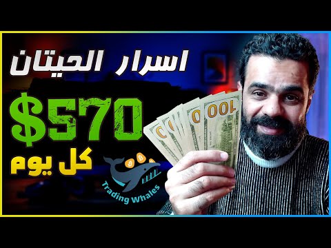 اسرار ربح 570$ كل يوم مثل حيتان السوق | الربح من الانترنت trading whales