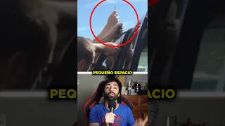 Usaron sus habilidades CRIMINALES para SALVAR a una bebé 😱 #sabiasque #curiosidades