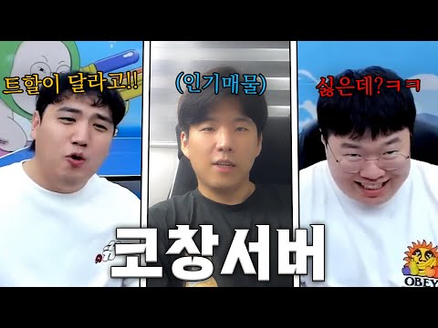 코창서버 길드 확정했습니다