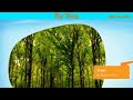 Adrienne Rich and Her Poem 'The Trees'