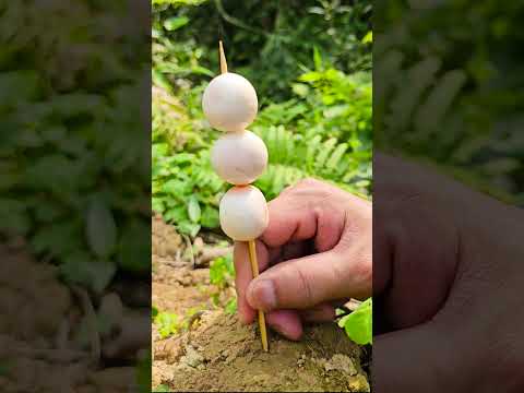 Candy eye #survival #bushcraft #outdoors #camping #bushcraft #survival #forest #lifehacks #bamboo