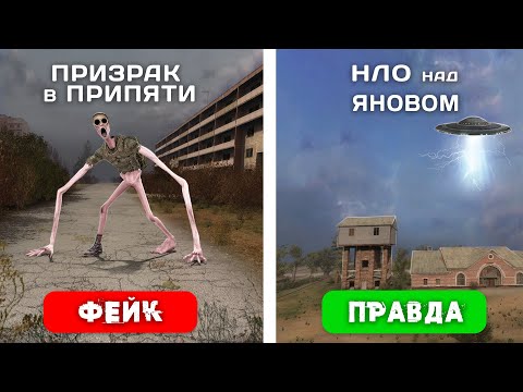 4 Мифа из STALKER - Проверка ПРАВДА или НЕТ