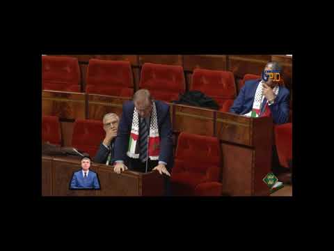 (17) أدراق في تعقيب إضافي حول تأهيل النقل السككي