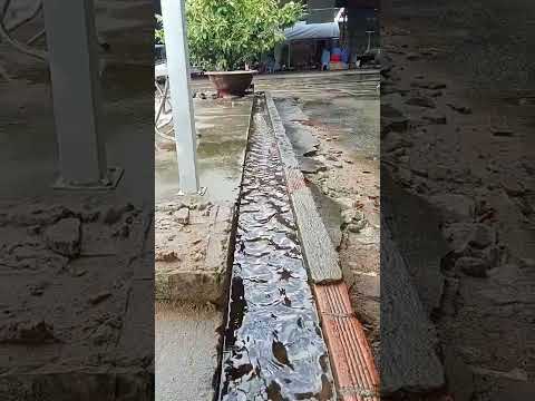 Chế độ cũ sửa lại #ghengodiendien ( ghe ngo của trẻ tân lập)