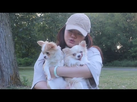 Park day with the fur babies FULL VIDEO 🐾