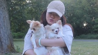 Park day with the fur babies FULL VIDEO 🐾