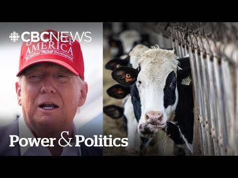 YouTube video thumbnail: Is Canada’s Dairy Industry Under Threat by Trump's Trade Talks?