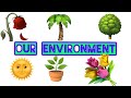 Environmental Awareness and Conservation