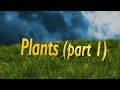 Prairie Ecosystem Plant Identification