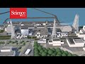Fukushima Disaster Impact and Response