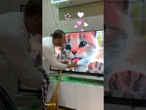 Mix funny videos for You😬😁 #funny #vitoxtv #comedy #cat