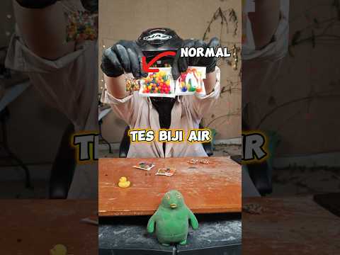 NYOBA BIJI AIR GEDE!