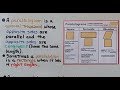 Characteristics and Properties of Quadrilaterals