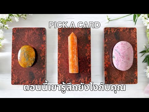 Pick a card ❤️ ตอนนี้เขารู้สึกยังไงกับคุณ How are they feeling about you right now? (Timeless NO.42)