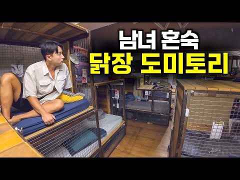 5만원짜리 홍콩 닭장 숙소 살아보기 - 홍콩3