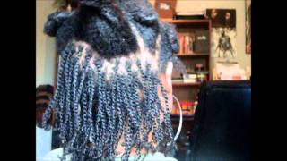 How To Two Strand Twist Natural Hair Videos Page 2 Kansas City