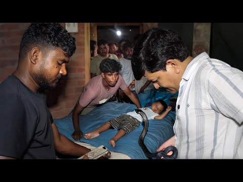 एक और दर्दनाक घटना! लुका-छिपी खेलते वक्त साँप काटने से 8 साल बच्चे की मौत | Cobra Snake bites a boy.
