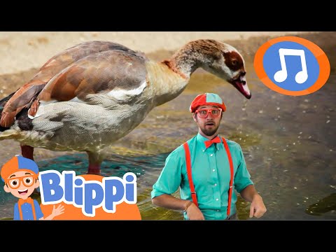 Learning Animals Song | Blippi Songs｜Kids Songs｜Trucks for Kids