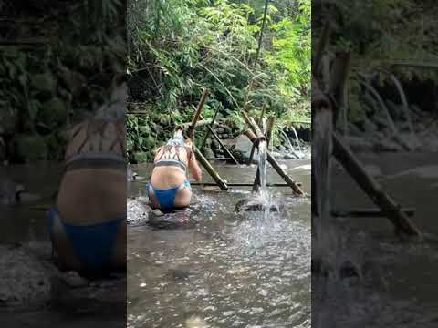 Fresh Water Flowing in a bamboo  - Province Style