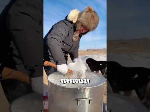 Почему еду в Монголии прячут в лед? ❄️🐺