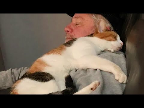 Nothing can heal my soul in this world like the love of Cats