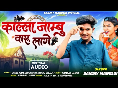 काल्ला जाम्बु वारू लागे 😁Singer Sanjay Mandloi//aadiwasi new timli song 2025